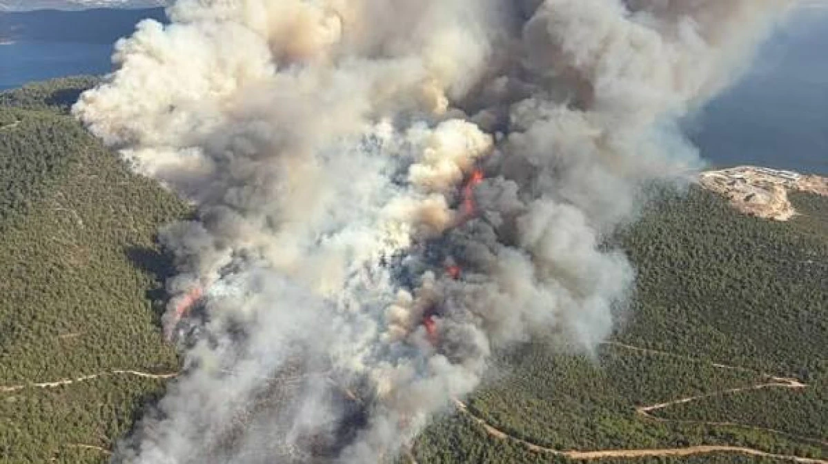 Muğla'nın 2 il&ccedil;esi ile İzmir'de &ccedil;ıkan yangınlara m&uuml;dahale ediliyor